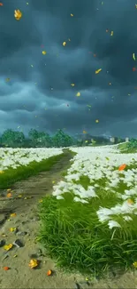 Serene meadow path under dark stormy sky with flowers and grass.