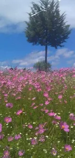 Serene meadow with pink wildflowers and a lone tree under a blue sky.