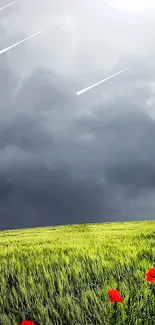 A lush green field under a cloudy sky with meteors.