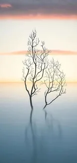 Minimalist wallpaper with a tree in calm water and a pastel sky backdrop.