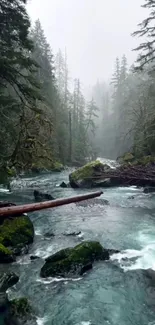 Misty forest stream flowing through dense green trees.