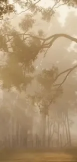 Misty forest wallpaper with golden hues and trees.