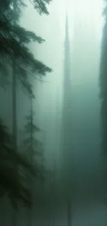 Misty forest wallpaper with tall trees in serene green mist.