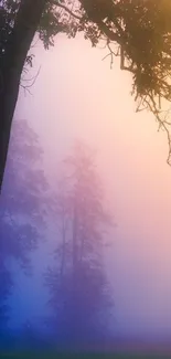 Ethereal misty forest with silhouetted trees at sunrise.