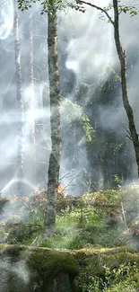 Misty forest wallpaper with sunlight filtering through trees and lush greenery.