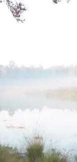 Misty lake landscape with trees reflecting in calm water.