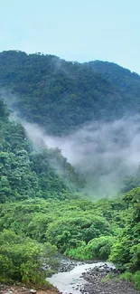 Misty green mountain landscape with lush forests under blue skies.