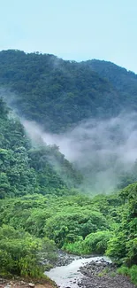 Misty mountain landscape with lush greenery.