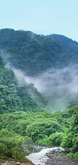 Scenic view of misty mountains and lush green forest with river.