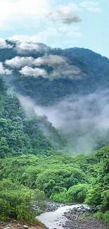 Misty mountain landscape wallpaper with lush greenery and serene atmosphere.