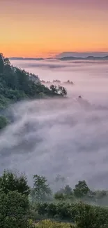 Misty mountain landscape at sunrise