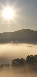 Misty mountain and forest with glowing sunrise.