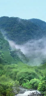 Misty mountain landscape with lush green forest.