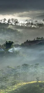 Misty mountain landscape with lush greenery and serene atmosphere.