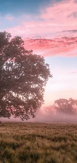 Misty sunrise over a field with a lone tree and pink skies in the background.