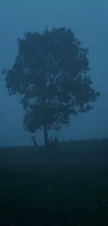 Foggy landscape with a lone tree silhouette at dawn.