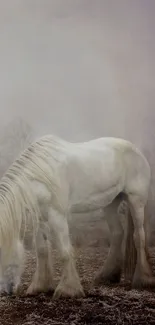 Misty white horse in a serene landscape scene.