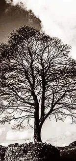 Black and white wallpaper of a solitary tree against a dramatic sky.