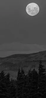 Grayscale mountain landscape with full moon and trees.