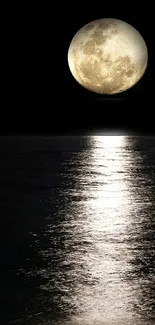 Full moon reflecting over a tranquil ocean at night.
