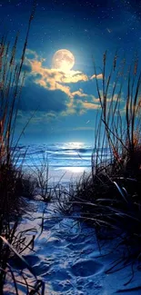 Moonlit beach under a starry night sky