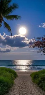 A serene moonlit beach path under a glowing night sky with palm trees.
