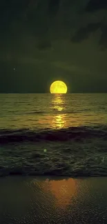 Moonlit beach with calm ocean reflecting the full moon's glow at night.