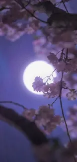 Cherry blossoms silhouette against a full moon.