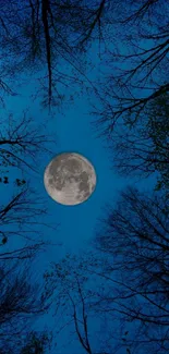 Moonlit forest silhouette under a vivid dark blue sky.