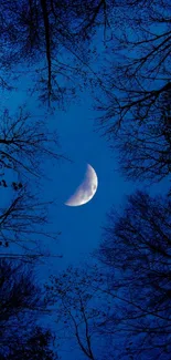 A crescent moon above silhouetted trees against a deep blue night sky.