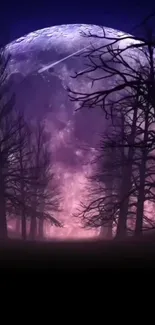 Moonlit forest with purple sky and silhouetted trees, creating a serene night scene.