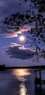 Moonlit lake reflecting water with silhouetted trees and a serene night sky.