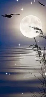 A full moon reflects on a calm lake, framed by night and silhouetted plants.