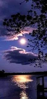 Moonlit lake at night with reflections and tree silhouette.