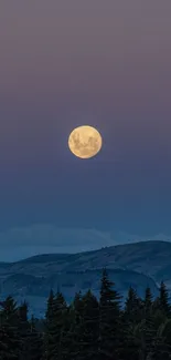 Full moon rises over forest at dusk, creating a serene nighttime landscape.