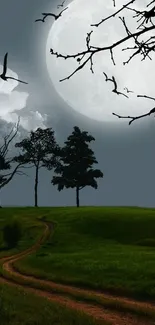 Serene night landscape with full moon, branches, and silhouetted trees.