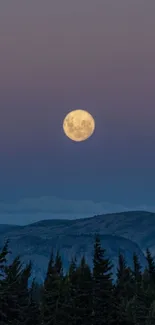 Calming moonlit mountain landscape wallpaper.