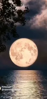 Full moon over calm sea with reflective waters under a starry night sky.