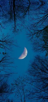 Half-moon in blue night sky with tree silhouettes.