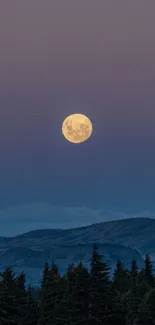 Full moon rising over forest and hills under a dark blue twilight sky.