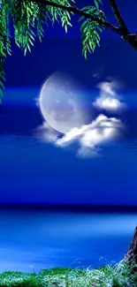 Moonlit night with tree and clouds on a serene blue background.