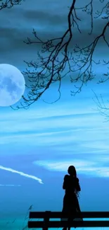 Moonlit night scene with silhouette under a blue sky.