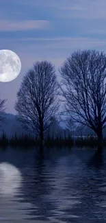 Serene moonlit night wallpaper with trees and lake reflection.