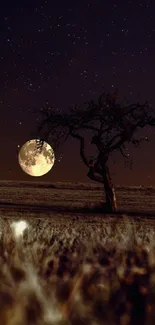 Lone tree under a glowing full moon in a starry night sky.