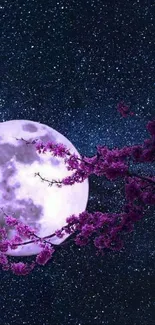 Moonlit night with cherry blossoms against a starry sky wallpaper.