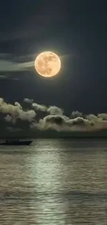 Moonlit night wallpaper with full moon over calm waters.