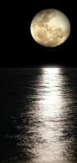 Full moon reflecting over a calm ocean at night.