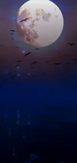 Moonlit ocean with birds flying at night