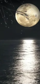 Full moon reflecting over calm water at night.