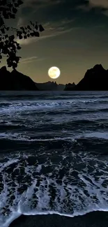 Moonlit ocean with gentle waves and silhouetted mountains under night sky.